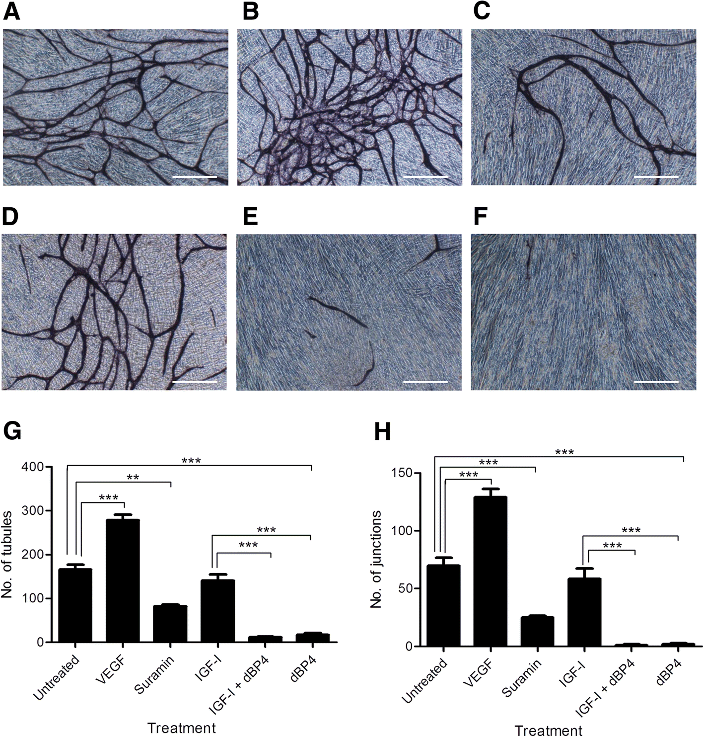 recombinant papp a resistant