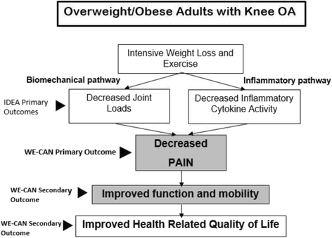 Krill oil benefits weight loss image 2