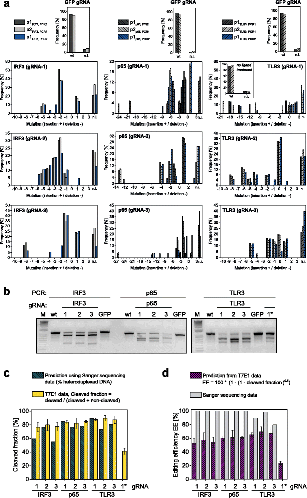 Death Receptor Based Enrichment Of Cas9 Expressing Cells Springerlink - open image in new window