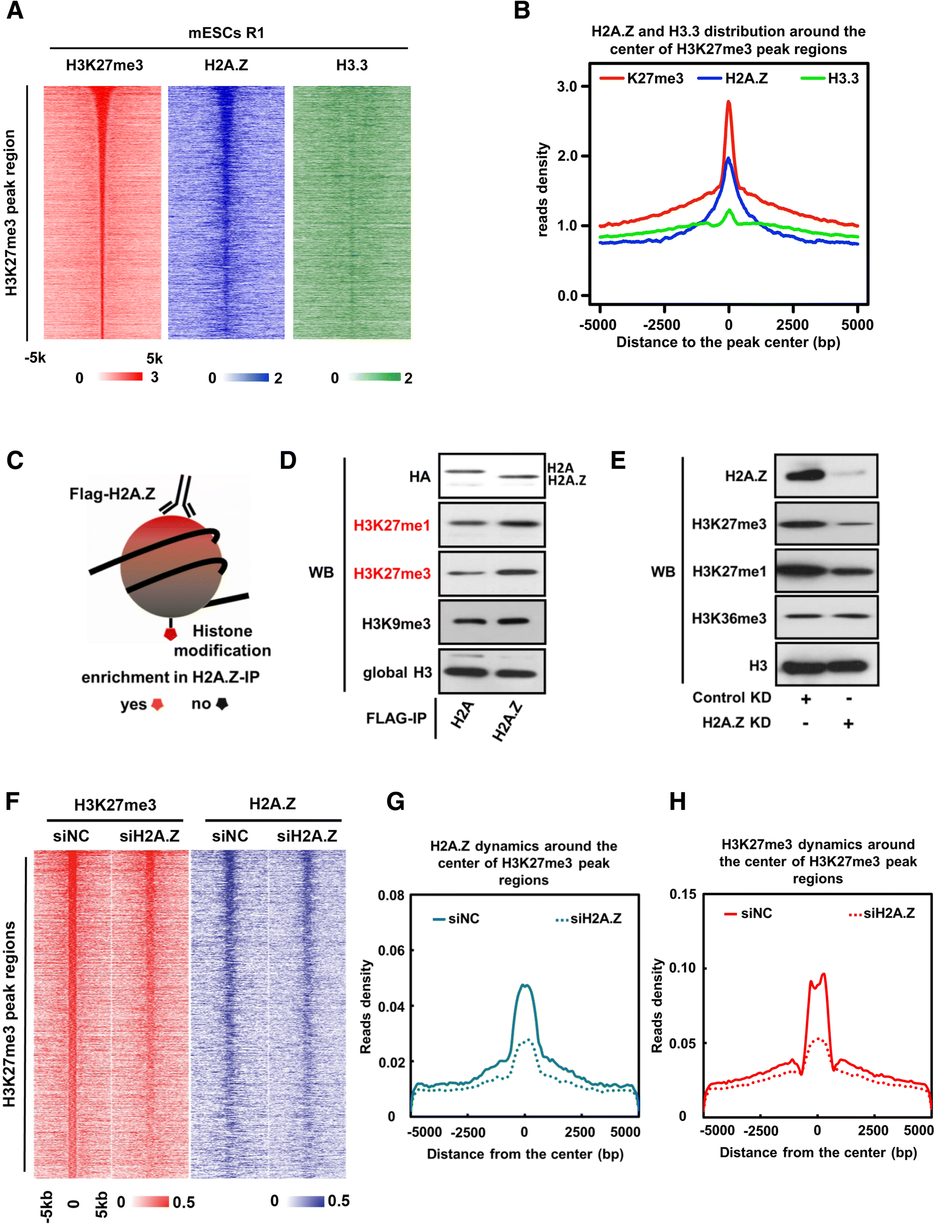 Histone Variants H2az And H33 Coordinately Regulate Prc2 - 