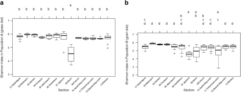 Microbial community composition along the digestive tract in forage