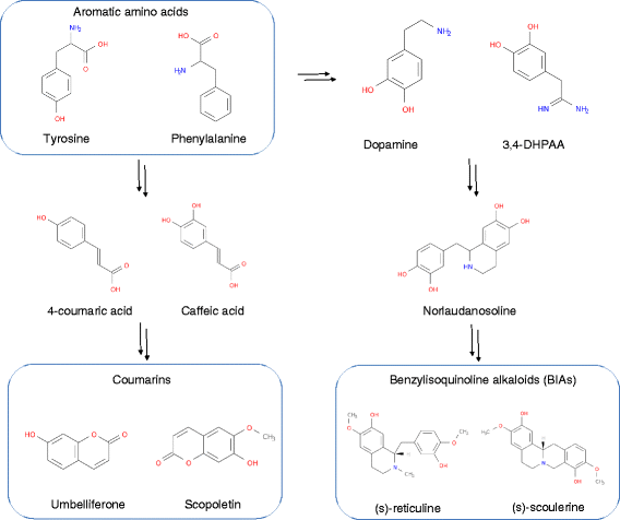 production of l amino acids Glutamic acid contributes to the health of the immune and digestive systems, as well as energy production muscle tissues are an important site for storing and producing this amino acid. production of l amino acids Glutamic acid contributes to the health of the immune and digestive systems, as well as energy production muscle tissues are an important site for storing and producing this amino acid.