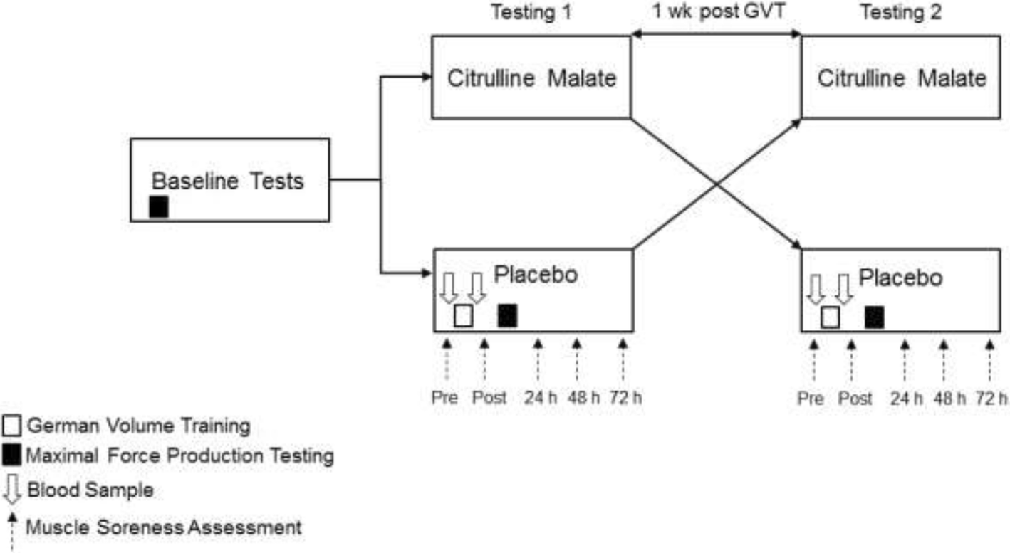 Citrulline Malate Supplementation Does Not Improve German
