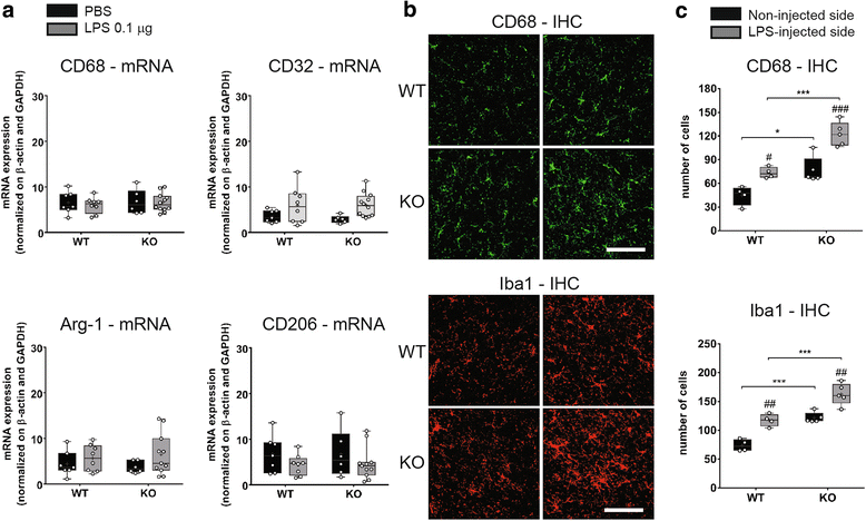 Tollip An Early Regulator Of The Acute Inflammatory - 