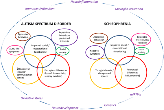 Unmasking Anxiety In Autism >> Bridging Autism Spectrum Disorders And Schizophrenia Through Unmasking Anxiety In Autism >> Bridging Autism Spectrum Disorders And Schizophrenia Through