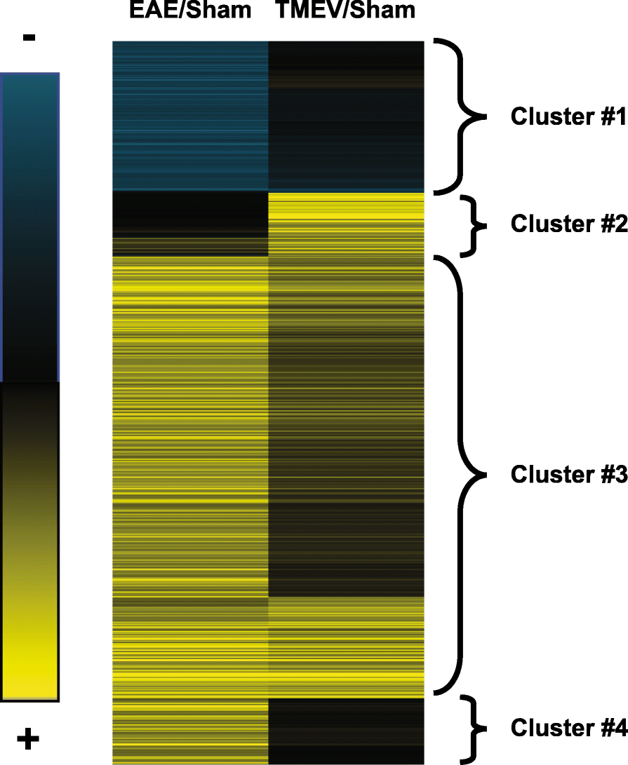 Differential Neuro Immune Patterns In Two Clinically - 