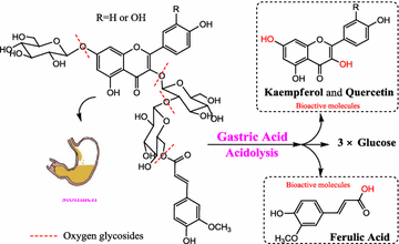 Abstracts From The 2nd International Symposium On - 