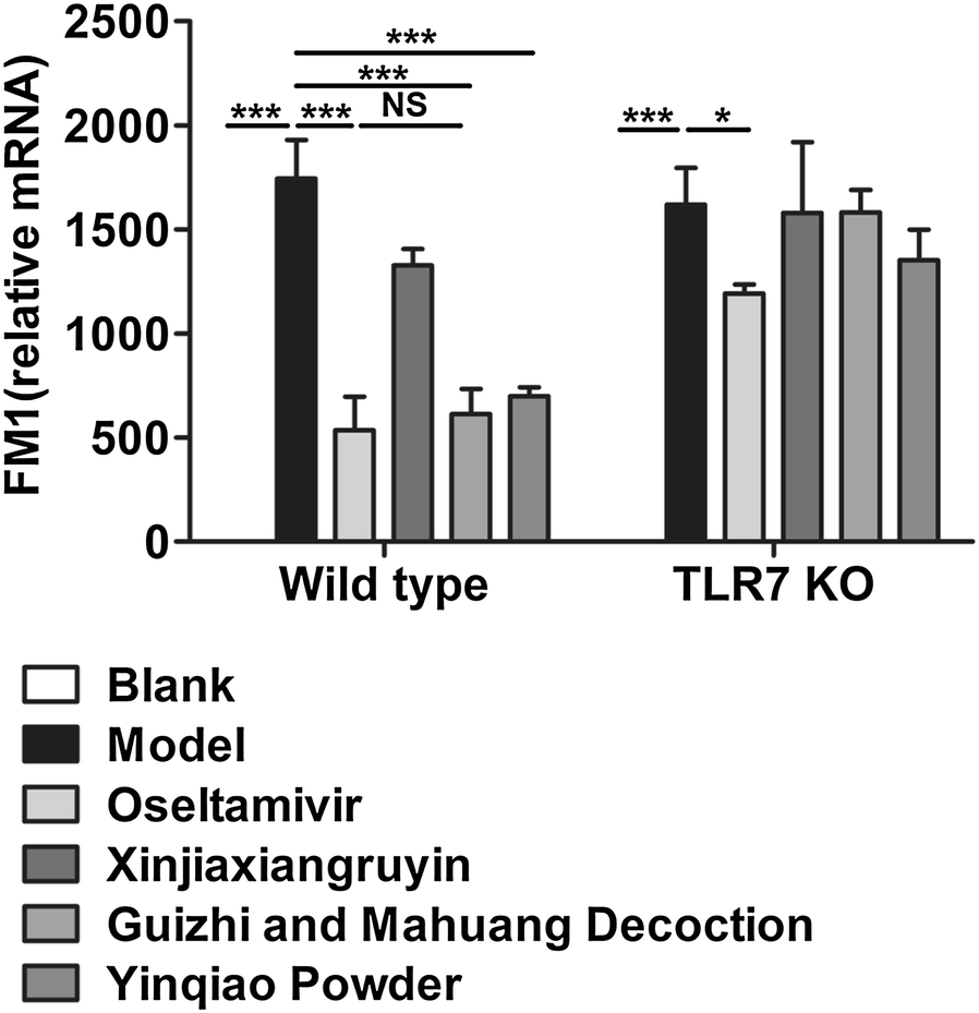 Effects Of Different Principles Of Traditional Chinese - 