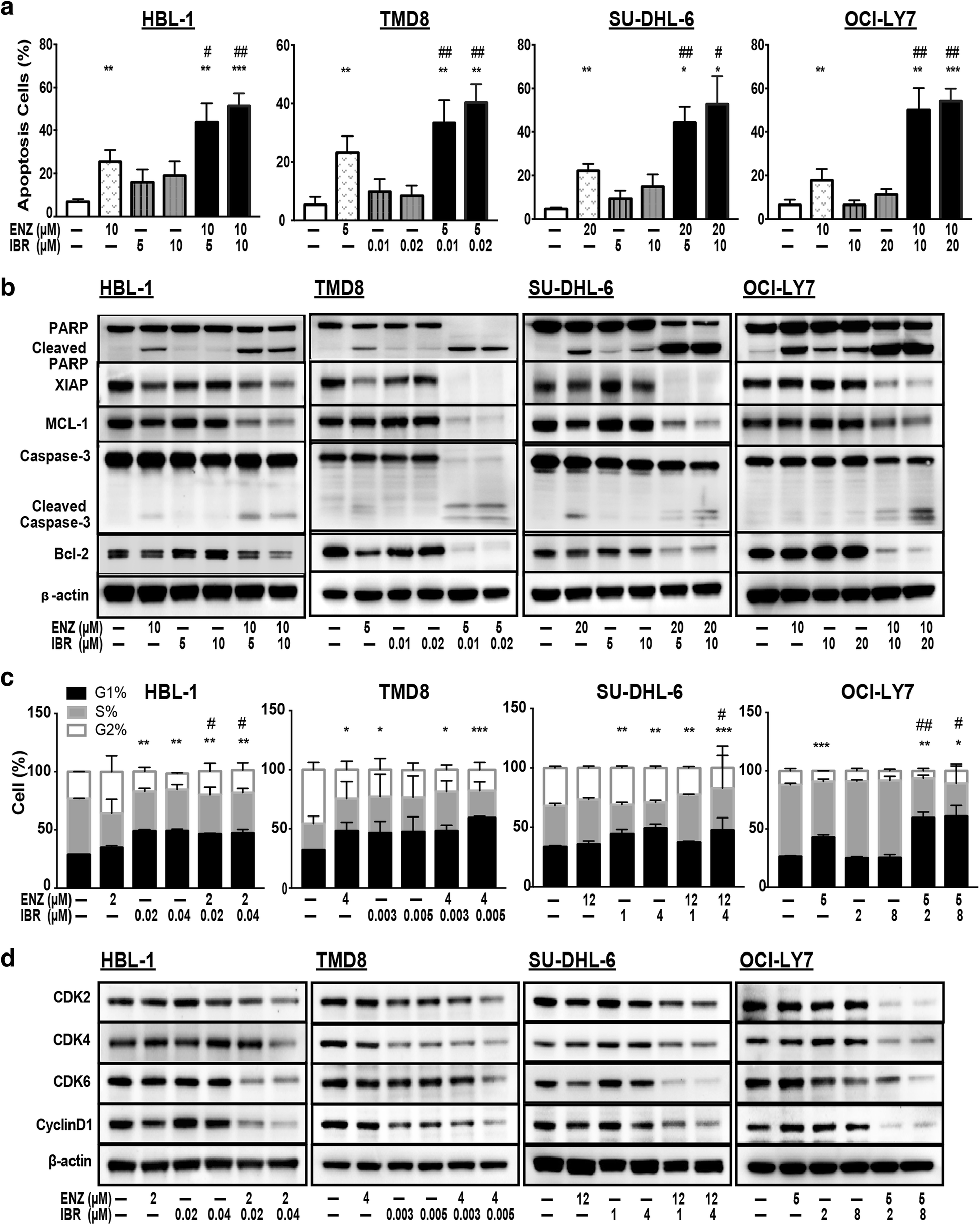 Combination Of Enzastaurin And Ibrutinib Synergistically