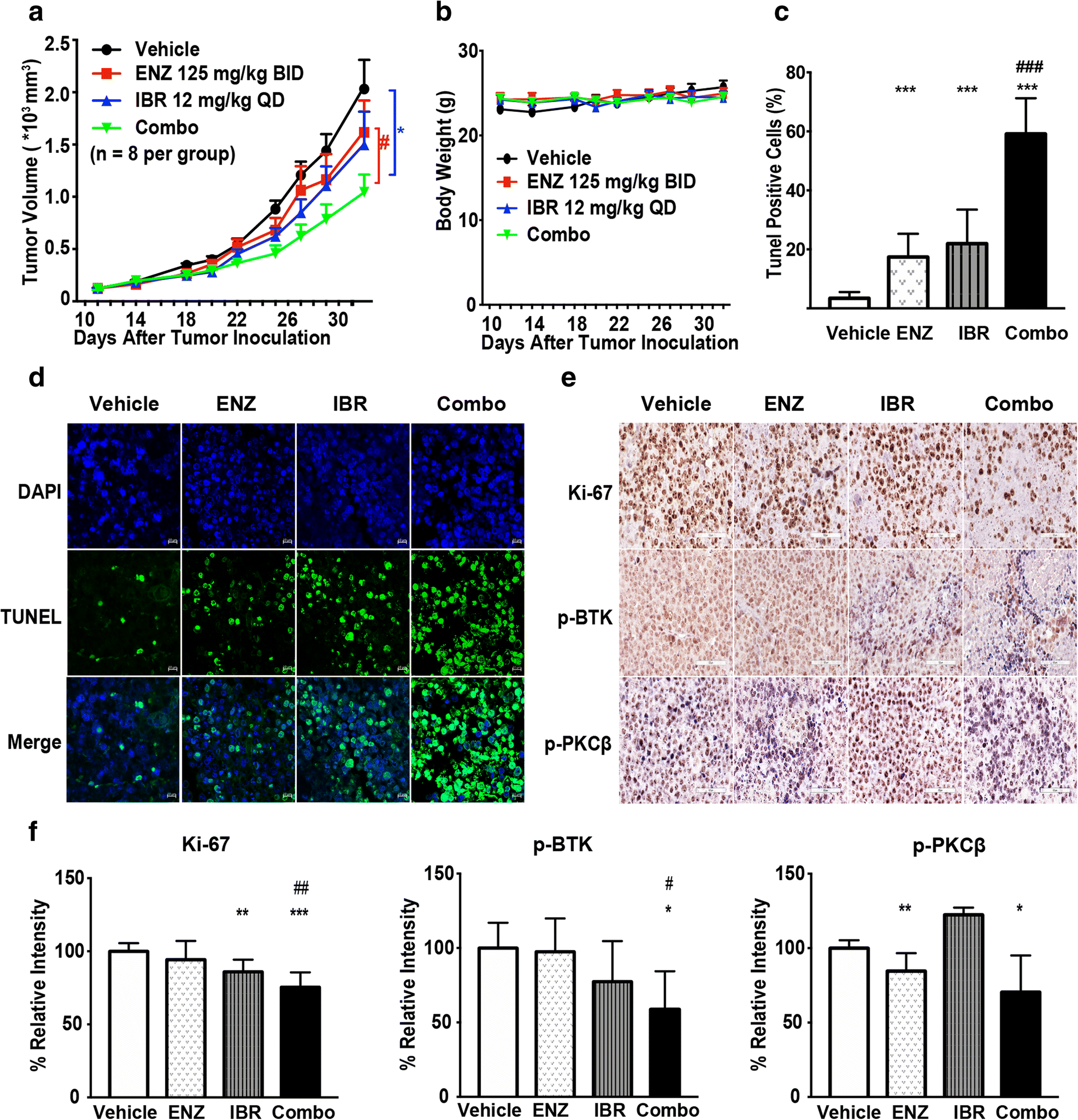 Combination Of Enzastaurin And Ibrutinib Synergistically