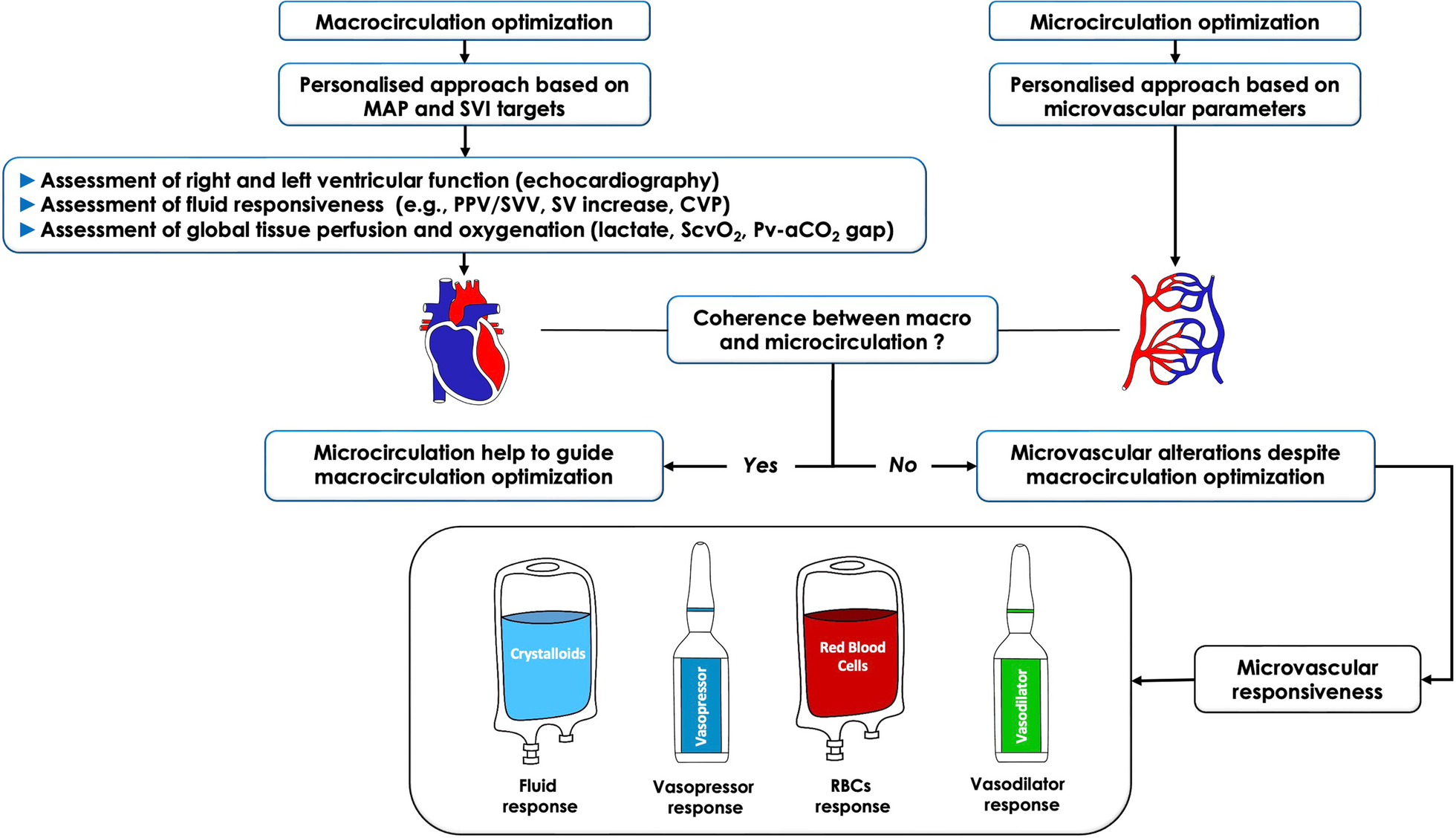 The future of intensive care: the study of the microcirculation will help  to guide our therapies | springermedizin.de
