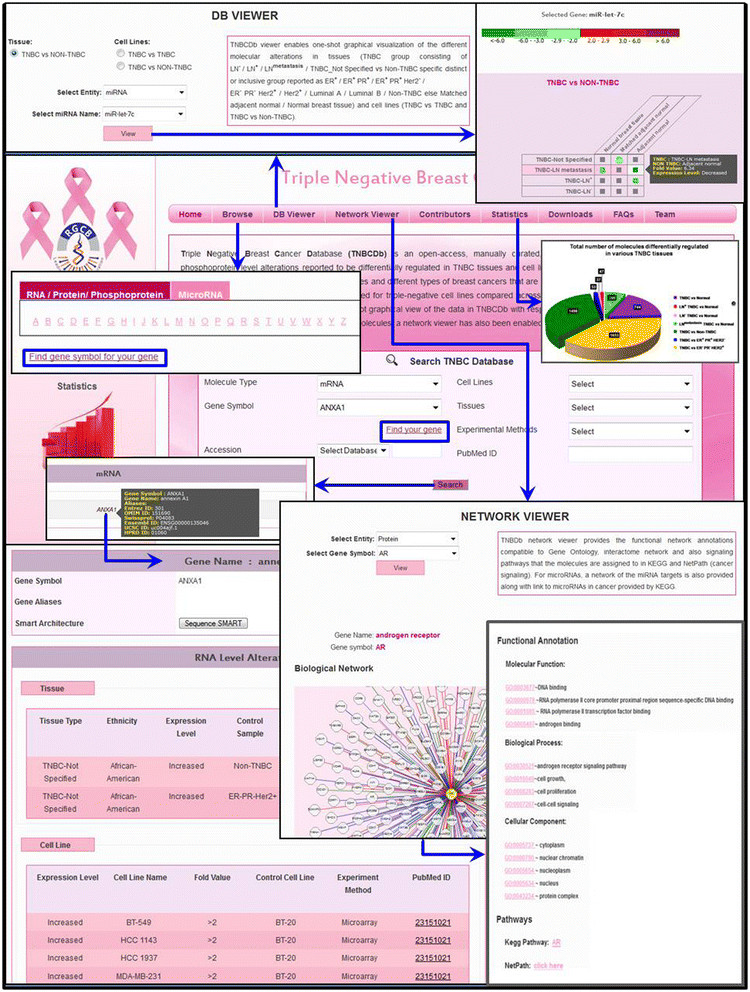 Negative Database Negative Database