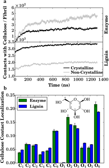 mechanism of lignin inhibition