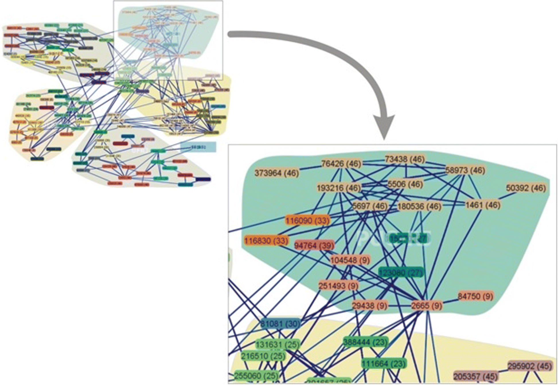 network flow model social network analysis definition