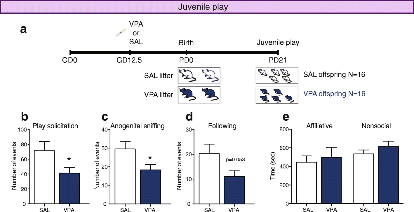 Treatment Restores Sociability In >> Sociability Deficits After Prenatal Exposure To Valproic Treatment Restores Sociability In >> Sociability Deficits After Prenatal Exposure To Valproic