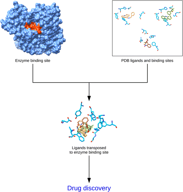 Ligand Based Drug Design Flow Chart