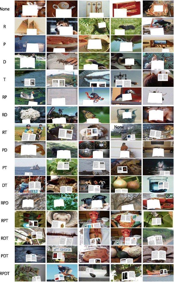 first person reading activity recognition by deep learning with