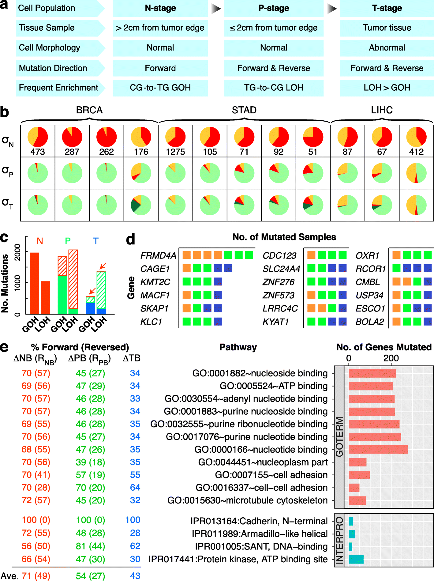 Quite Revealing 1.8e Serial
