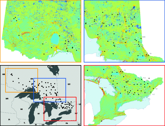 Multi-species genetic connectivity in a terrestrial habitat network