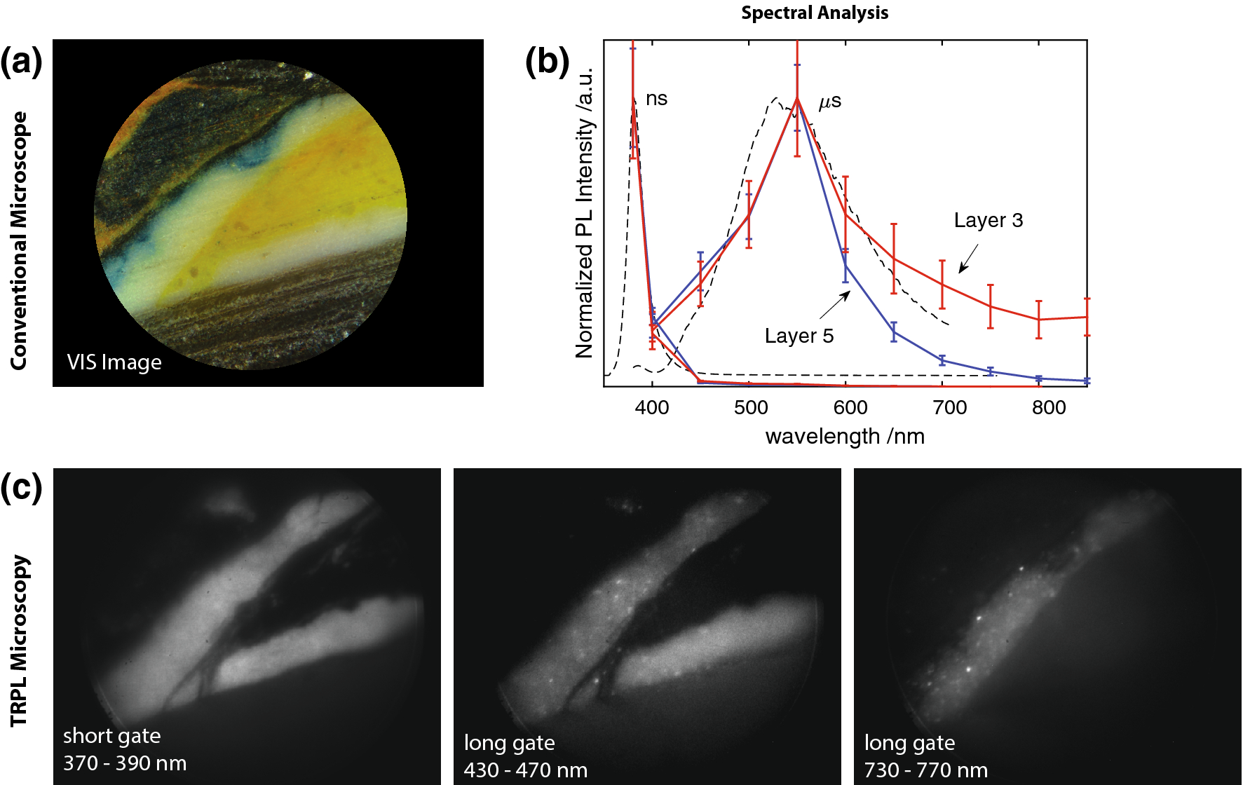 Combined Photoluminescence And Raman Microscopy For The - 