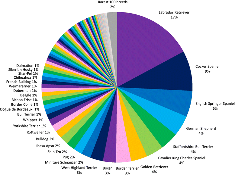 German Shepherd Classification Chart