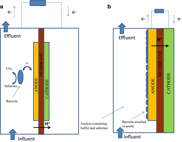Cathodic and anodic biofilms in single chamber microbial fuel cells
