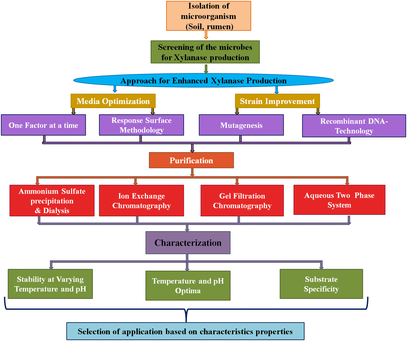 Image result for Microbial Characterization And Industrial Application