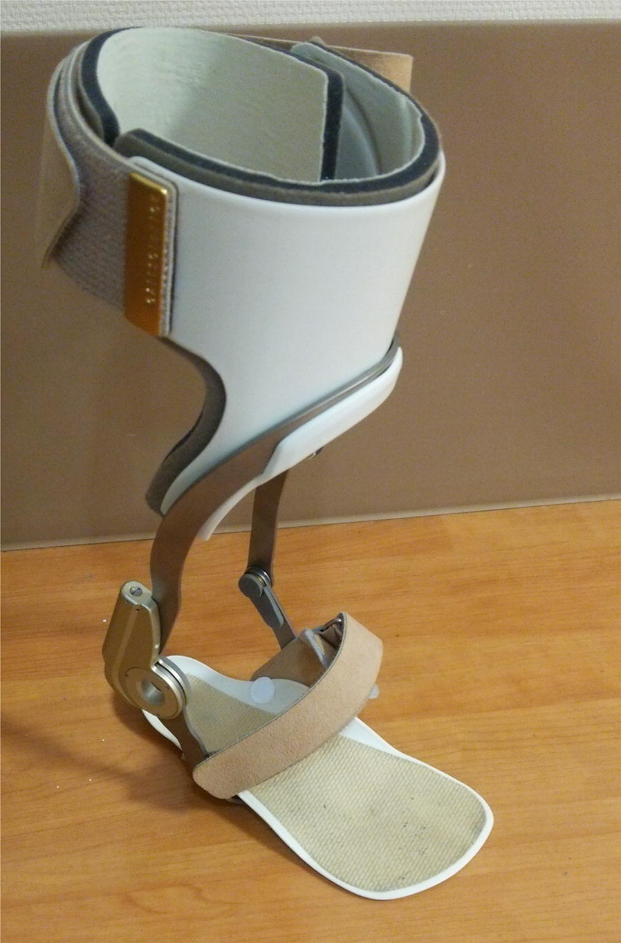 Effect Of An Ankle Foot Orthosis On Gait Kinematics And