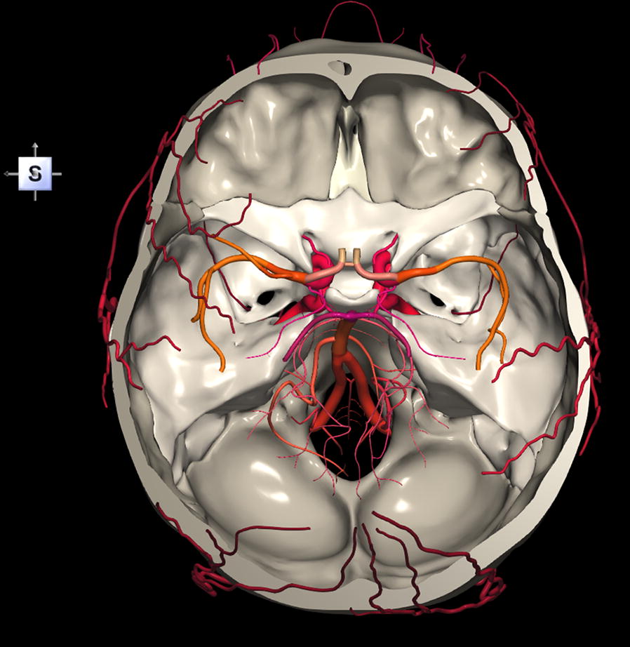 A 3d Stereotactic Atlas Of The Adult Human Skull Base