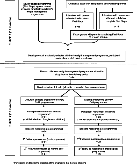 Cultural Adaptation Of A Childrens Weight Management - 