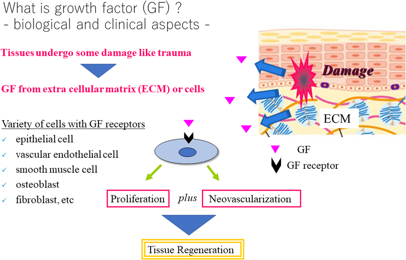 Advances In Surgical Applications Of Growth Factors For - 