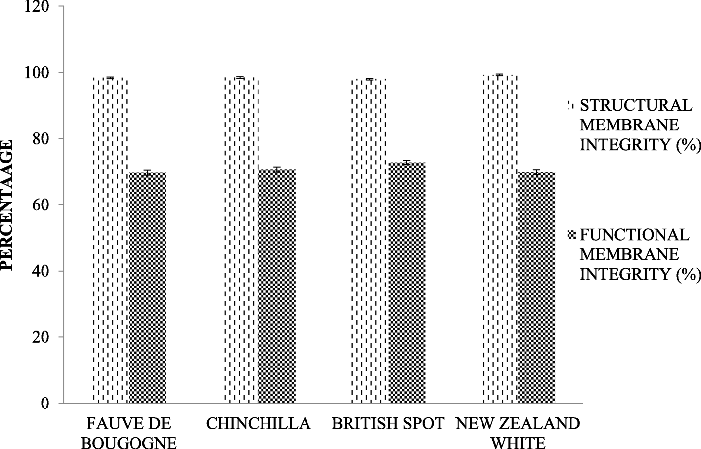 Chinchilla Growth Chart
