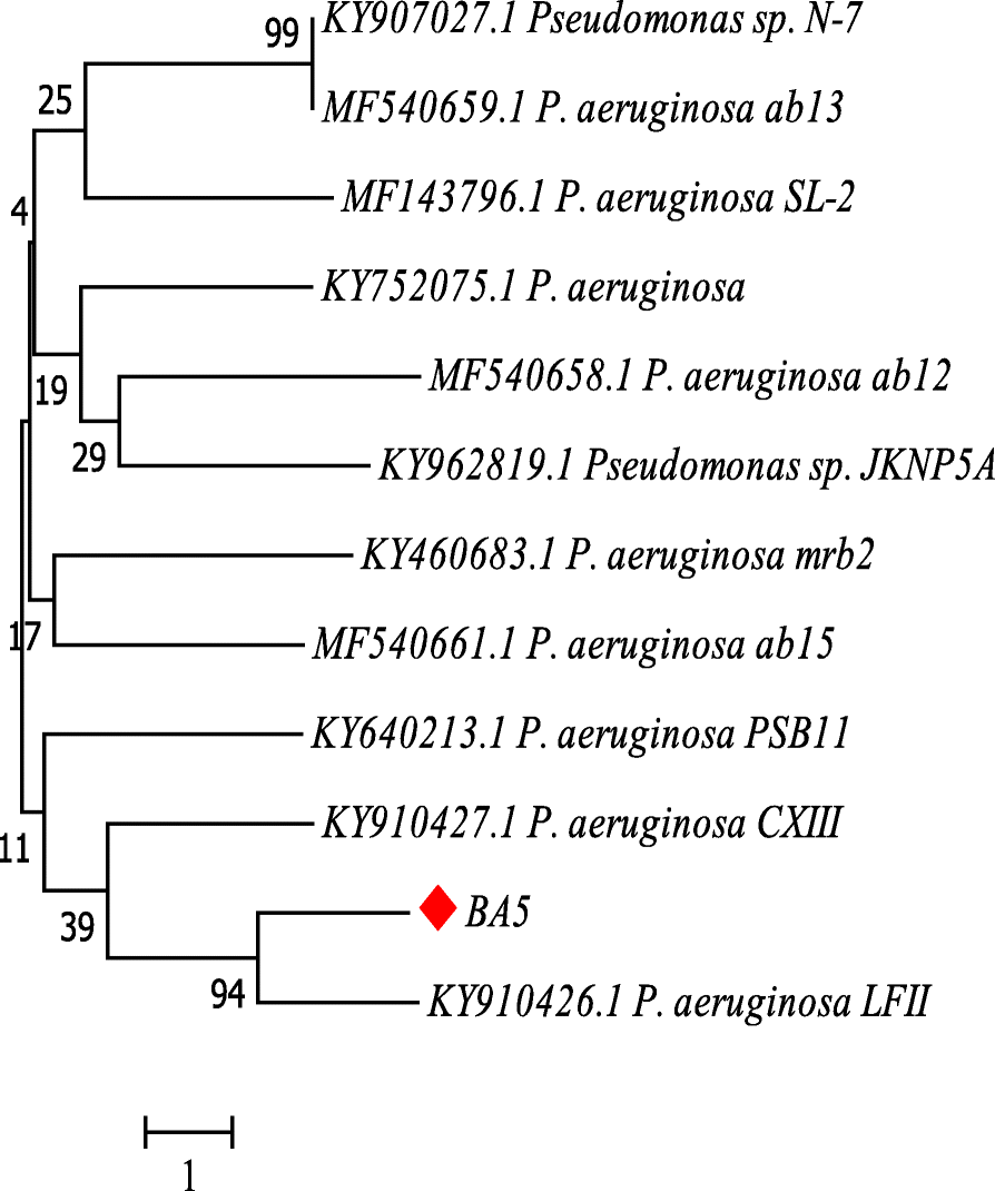 In Vitro Study Of Biocontrol Potential Of Rhizospheric - 