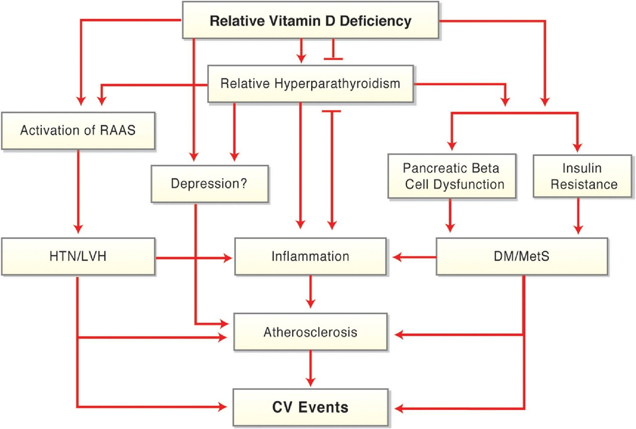 Recent Advances In Formulation Strategies For Efficient