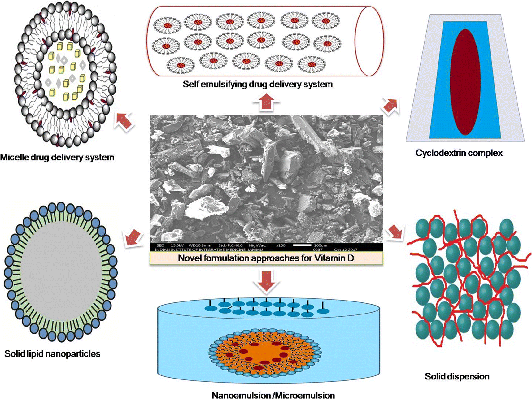 Recent Advances In Formulation Strategies For Efficient