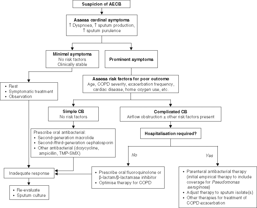 Acute Exacerbations of Chronic Bronchitis in Elderly Patients