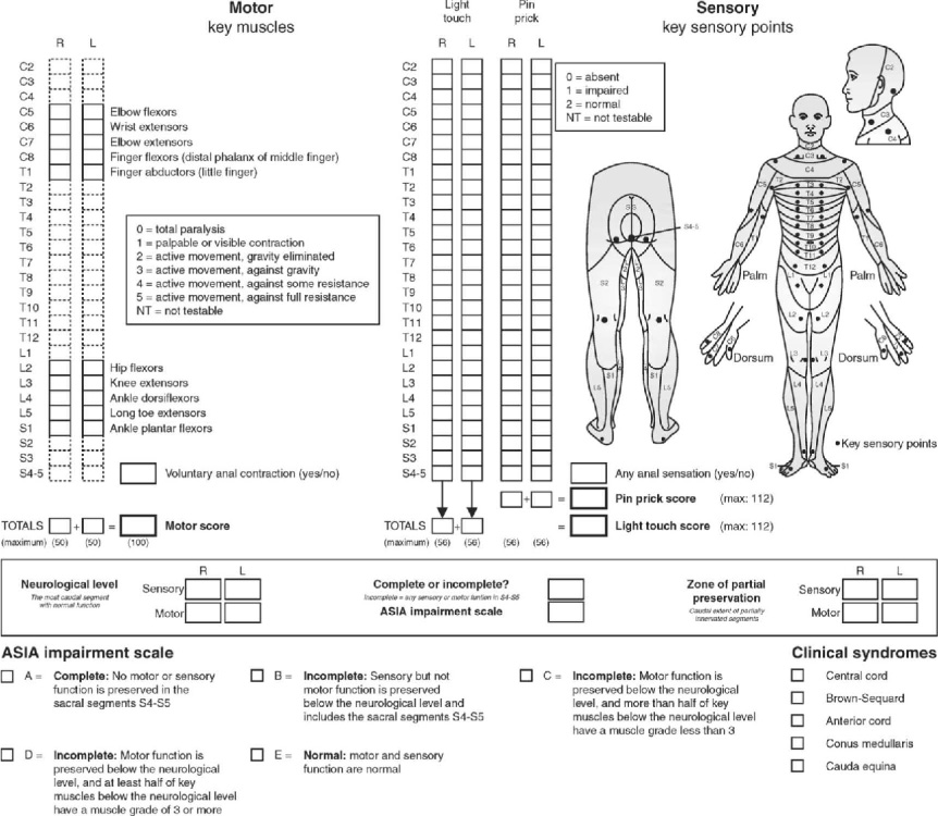 Exercise for Individuals with Spinal Cord Injury
