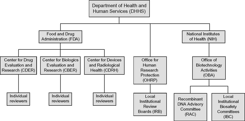 Dhhs Organisational Chart