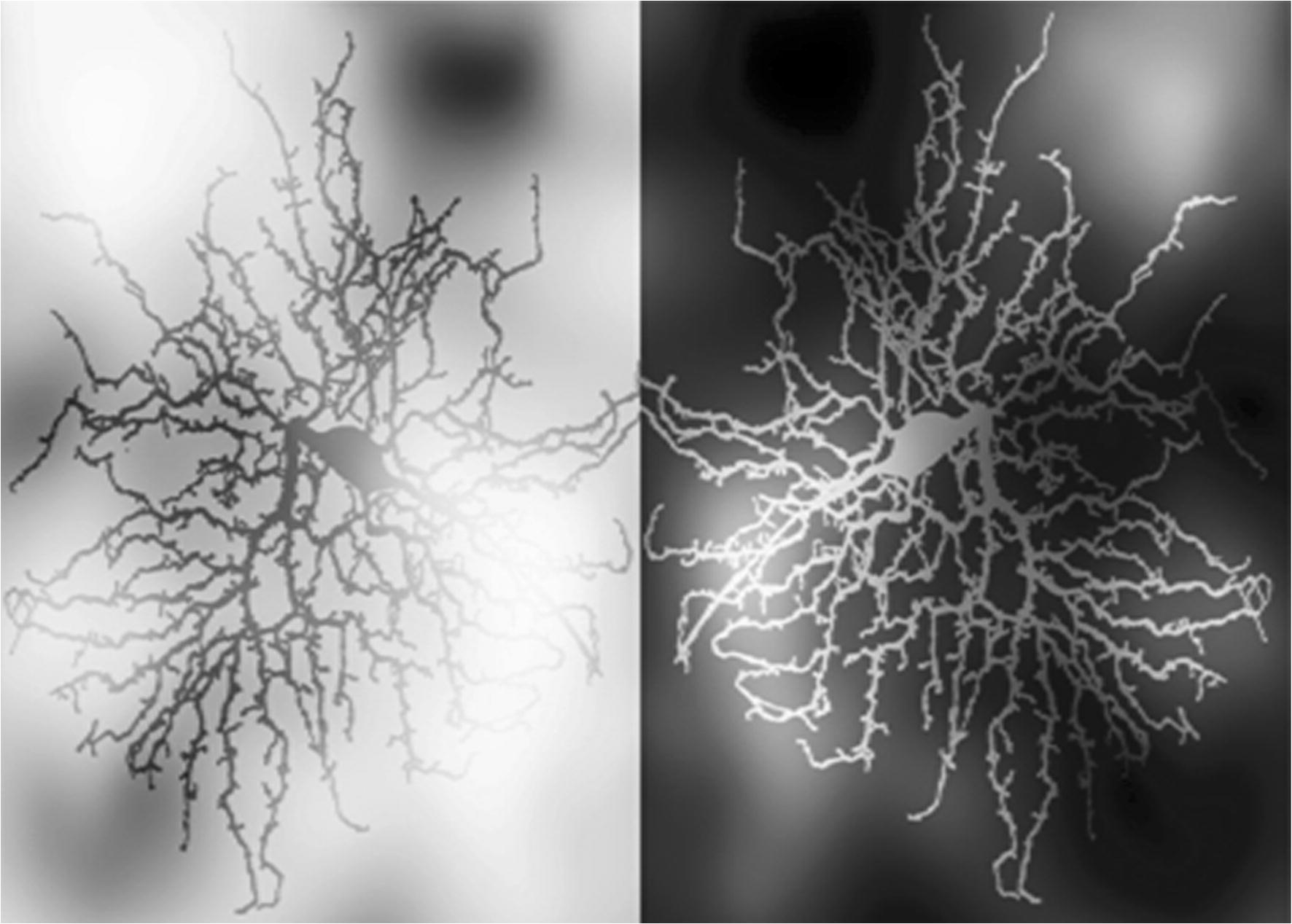 Long Standing Problems In Speech Perception Dissolve Within - 