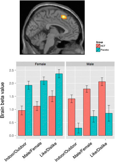 Brain Circuits For Successful Emotional >> Neural Circuitry Of Emotion Regulation Effects Of Appraisal Brain Circuits For Successful Emotional >> Neural Circuitry Of Emotion Regulation Effects Of Appraisal