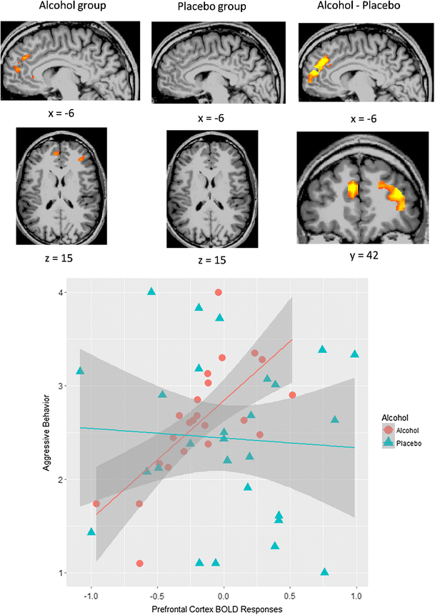 The Neural Correlates Of Alcohol Related Aggression - 