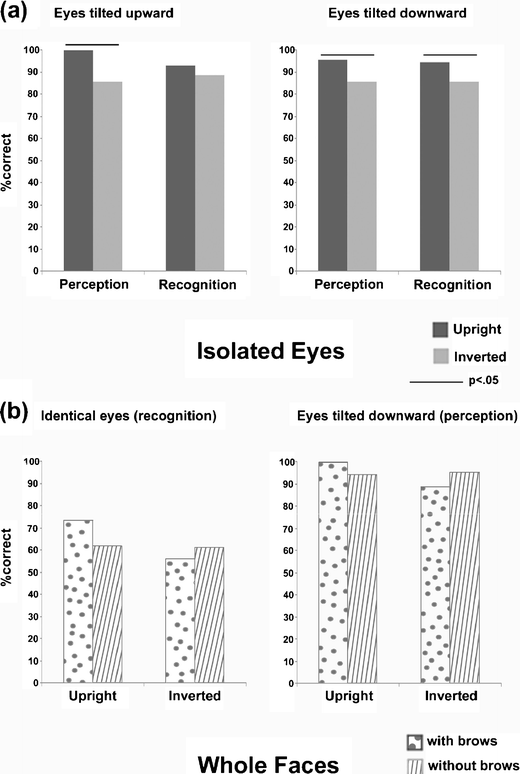 face recognition study inverted v upright Face recognition in primates: a cross-species study olivier pascalis, jocelyne bachevalier department of neurobiology and anatomy, uni6ersity of texas health. face recognition study inverted v upright Face recognition in primates: a cross-species study olivier pascalis, jocelyne bachevalier department of neurobiology and anatomy, uni6ersity of texas health.