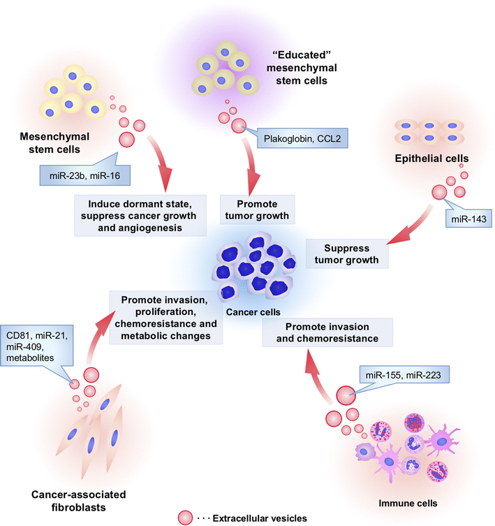 How cancer cells dictate their microenvironment: present roles of ...