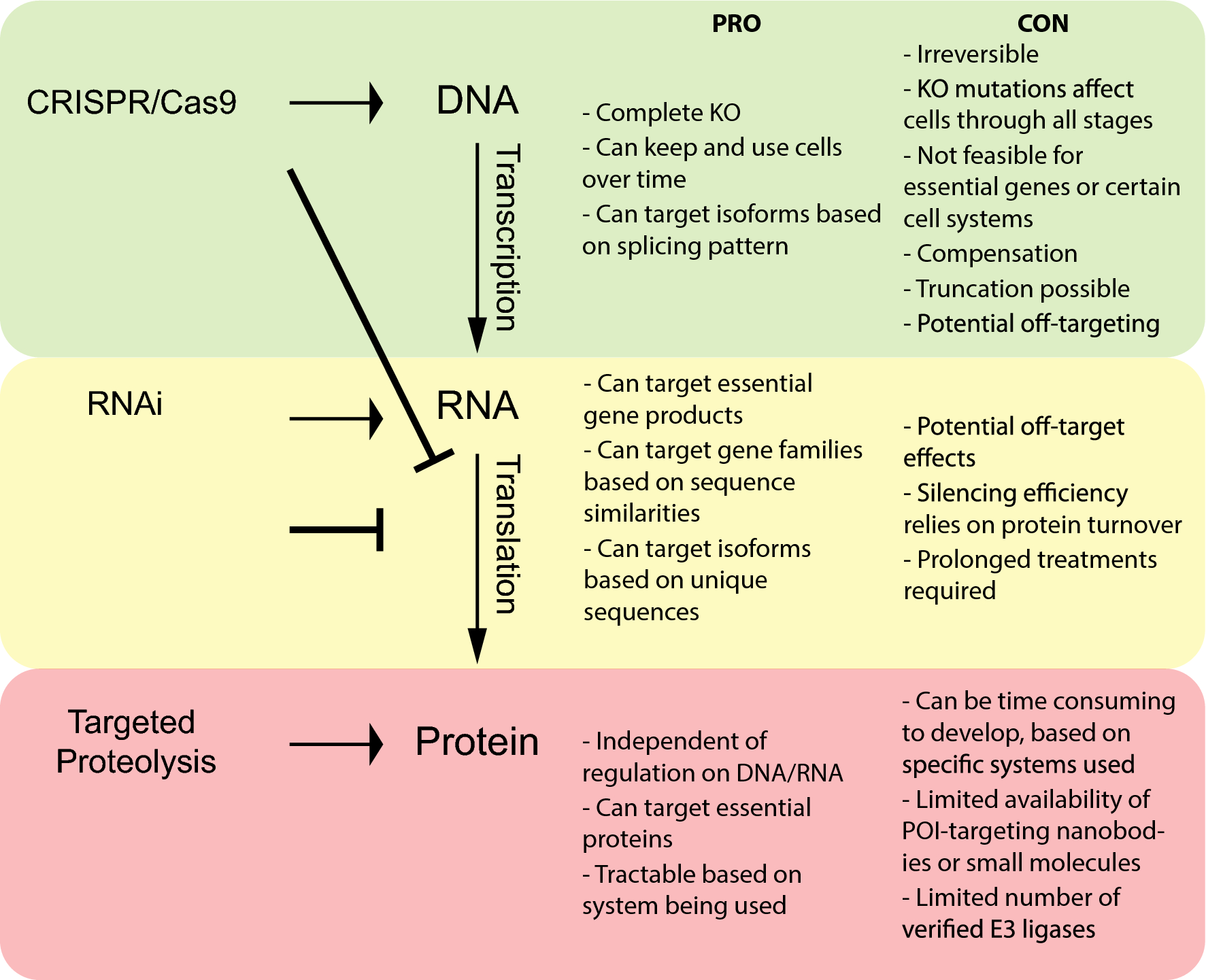 Advances in targeted degradation of endogenous proteins | SpringerLink