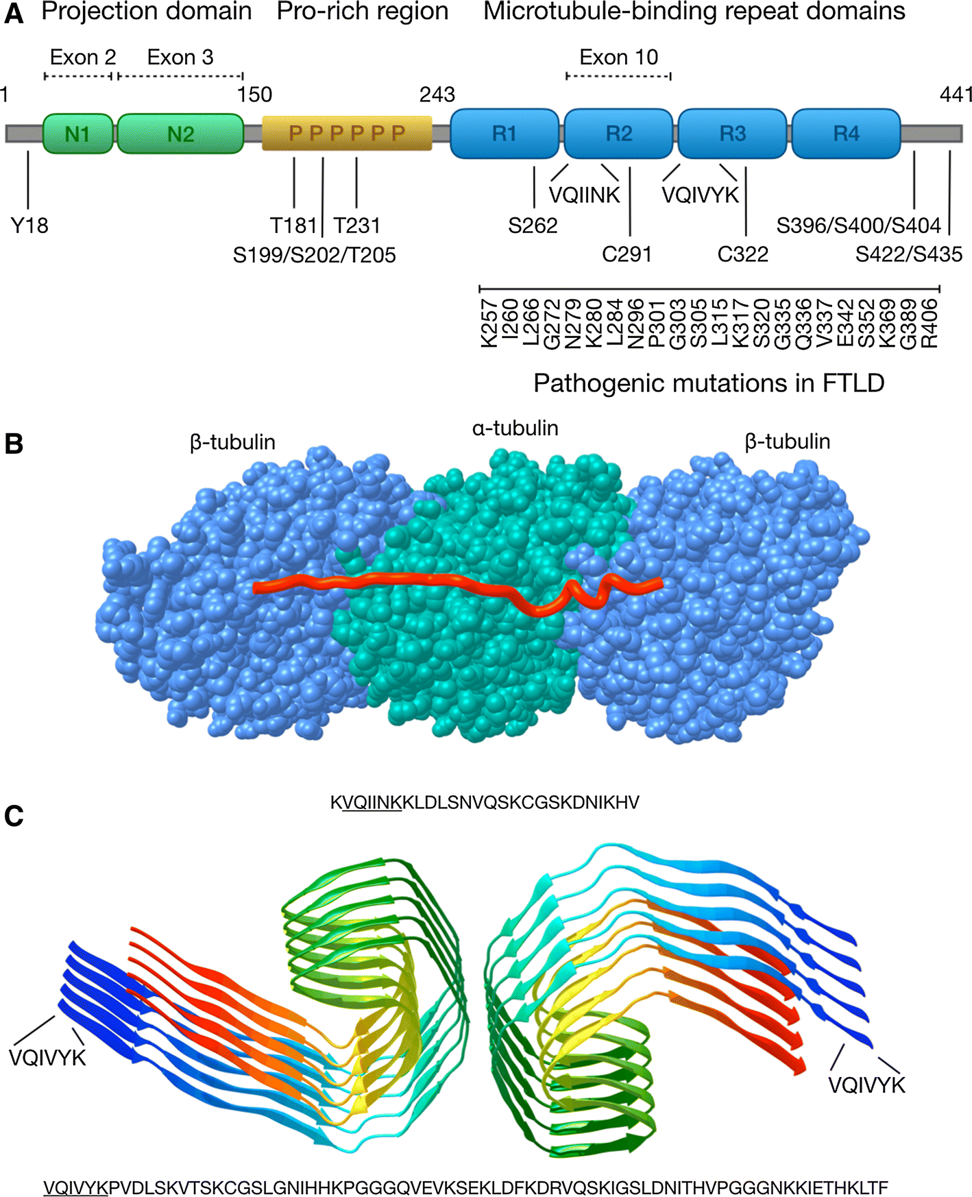 Mechanisms of secretion and spreading of pathological tau protein ...