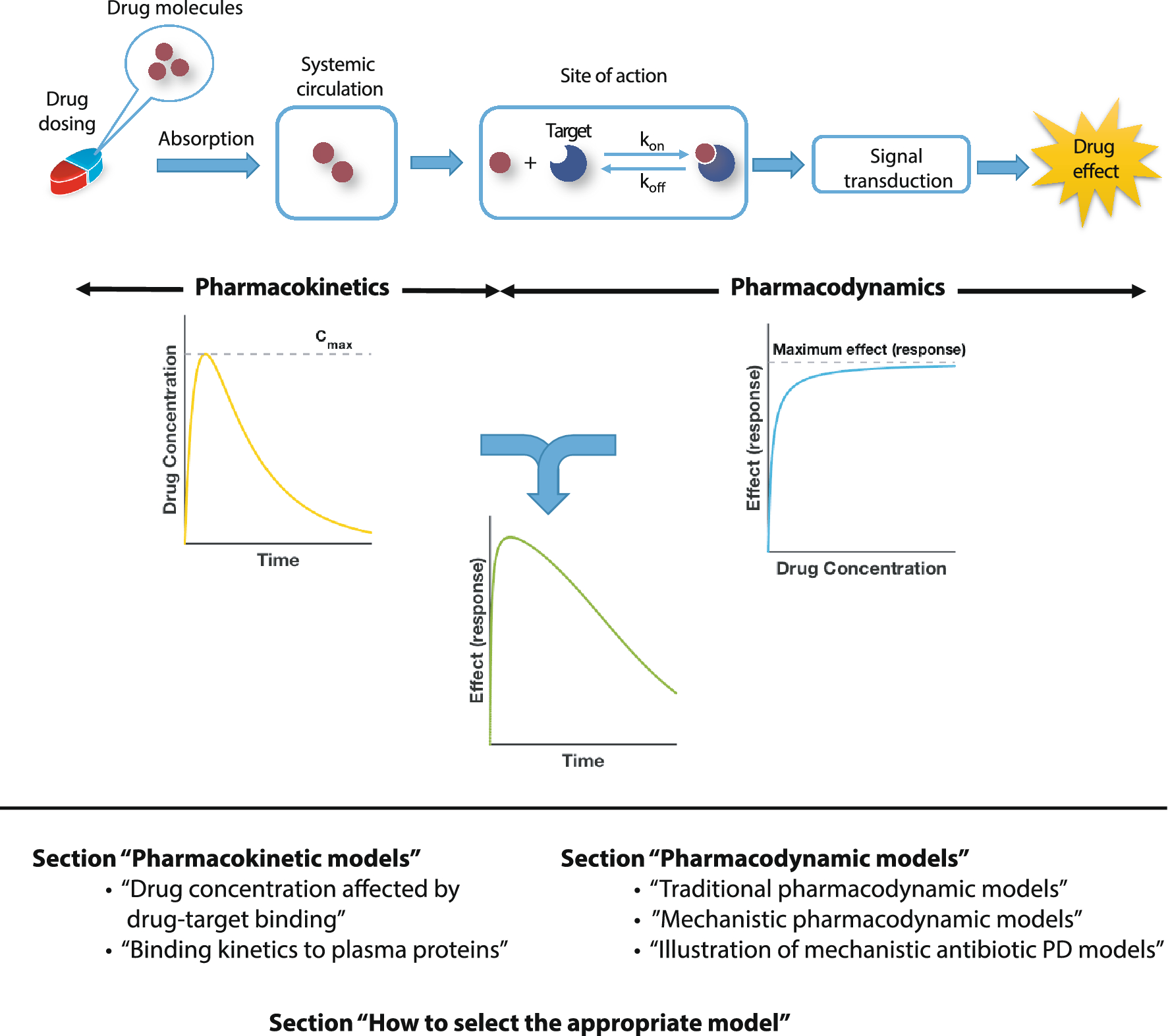 Multiscale modeling of drug binding to predict drug efficacy SpringerLink