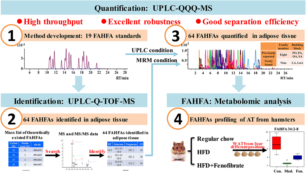 A UPLC/MS/MS method for comprehensive profiling and quantification of