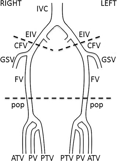 Lower-extremity venous ultrasound — past, present and ...