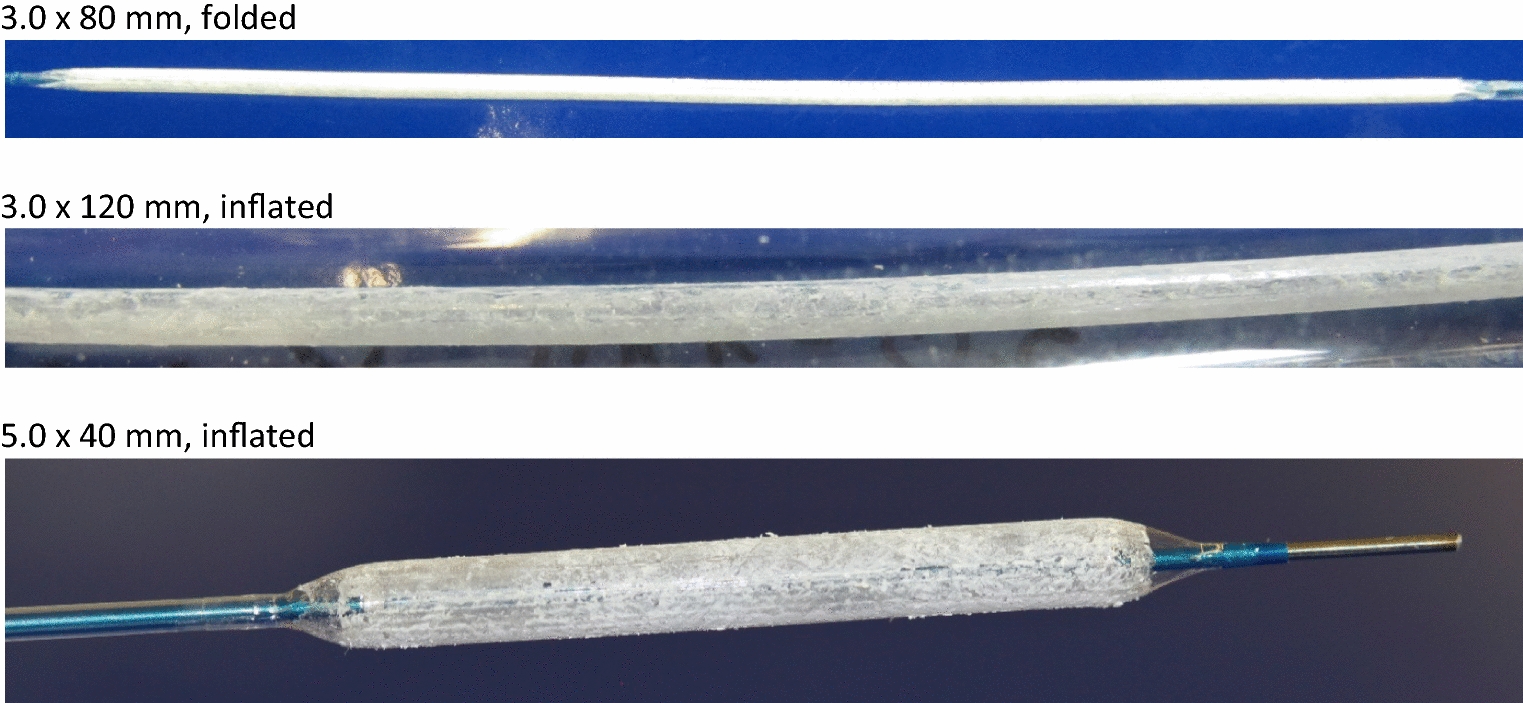 Drug Distribution and Basic Pharmacology of Paclitaxel/Resveratrol