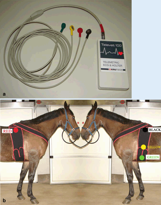The ECG in cardiovascularrelevant animal models of electrophysiology